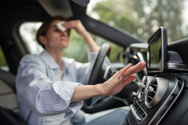 Best Air Conditioning Cleaning in Greendale, IN
